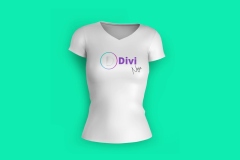 Divi-Ninja